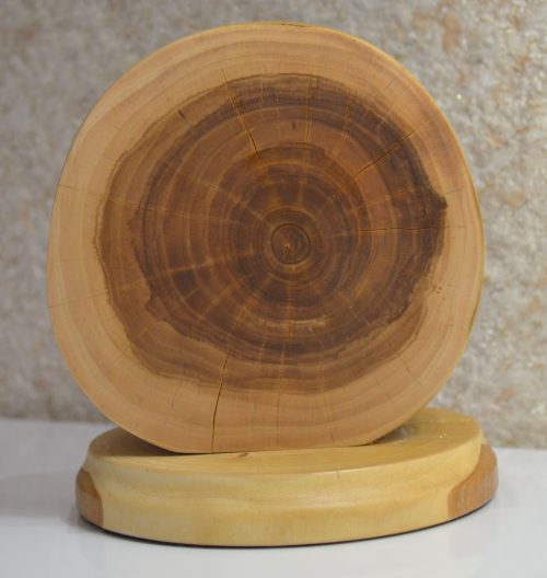 Подставка под сухоцветы/аромапалочки, 14 см